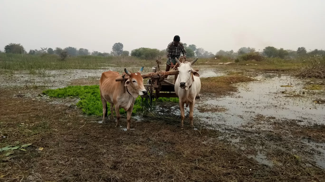 Photo of Telangana By Bunny Backpacker
