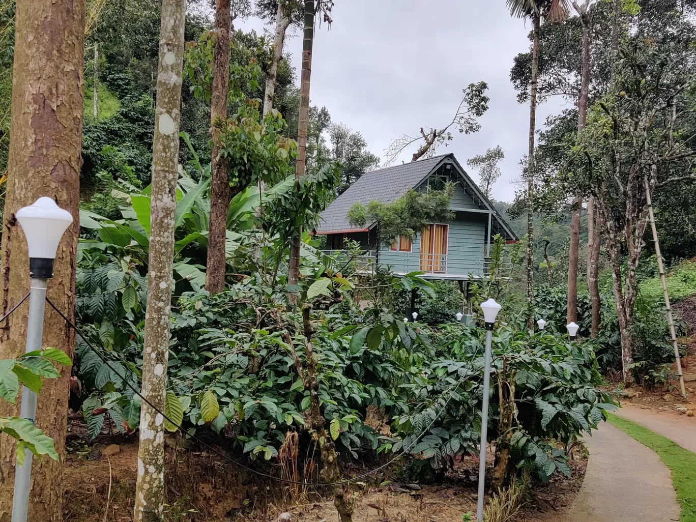 Photo of Sakleshpur By Rituparna @globe_trotting_soul