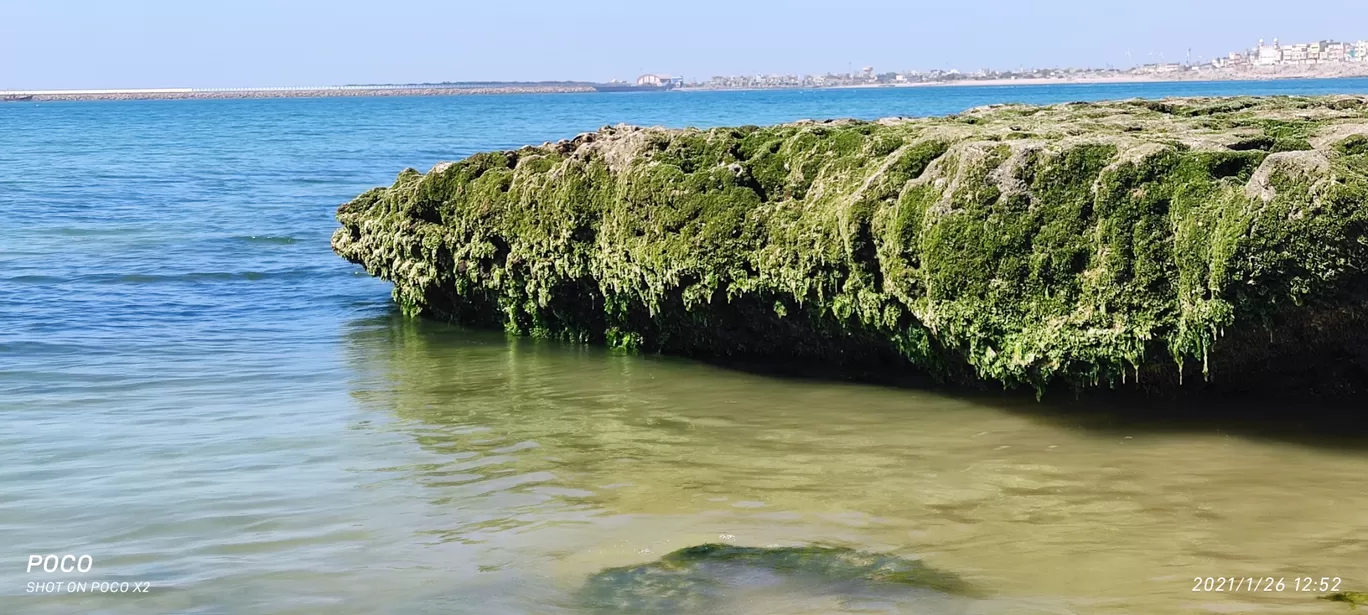 Photo of Porbandar By chintan desai