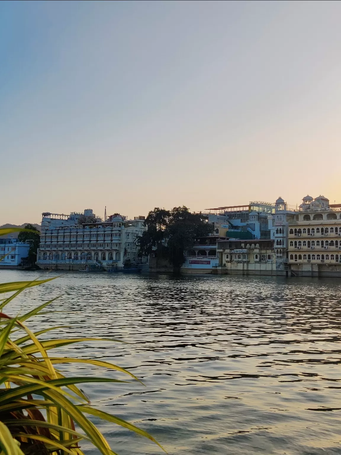 Photo of Udaipur By Bhavna Agrawal