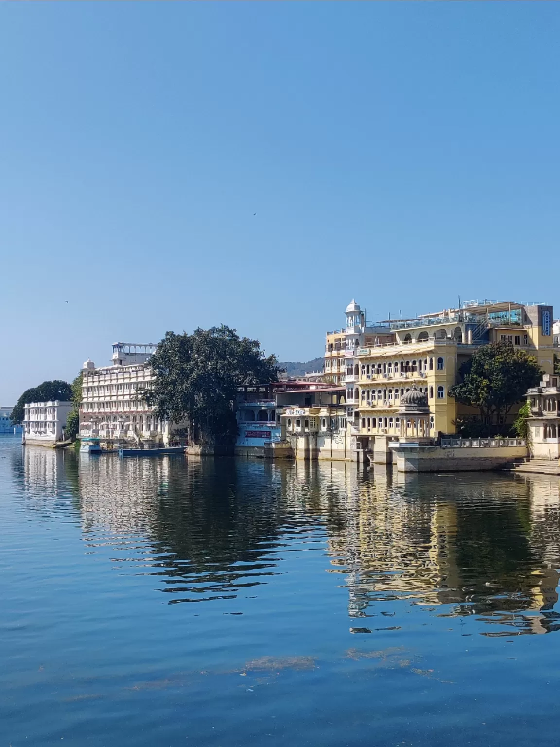 Photo of Udaipur By Bhavna Agrawal