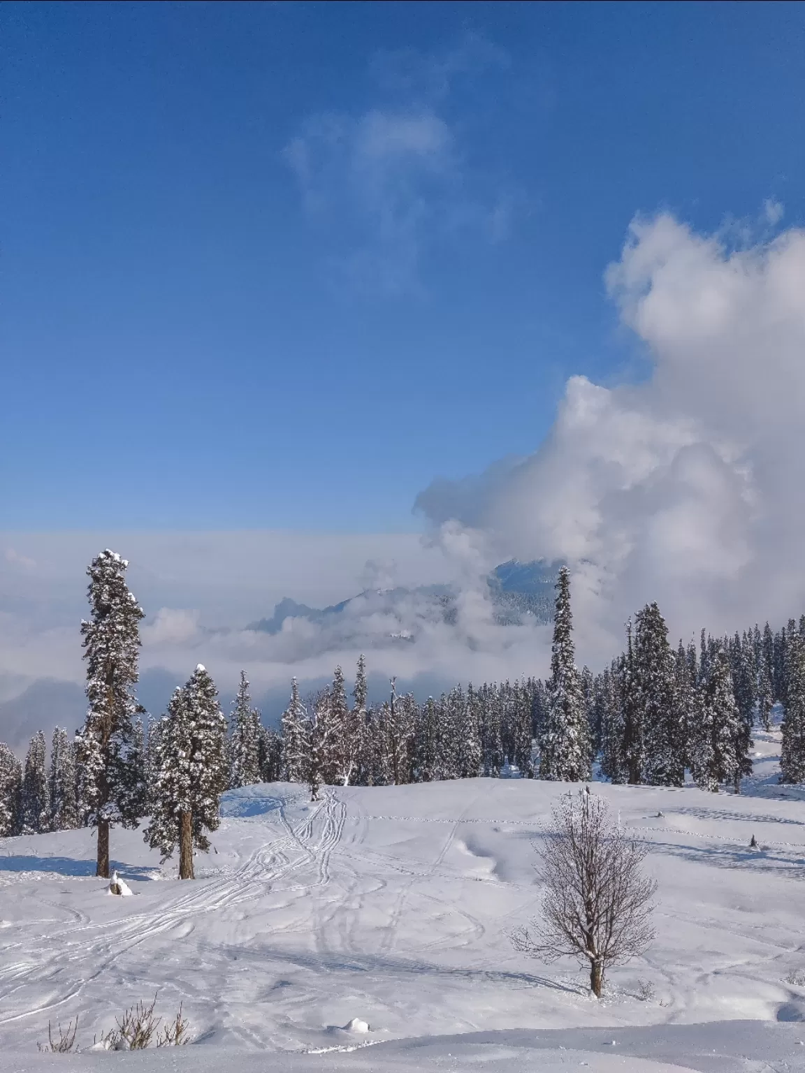 Photo of Gulmarg By Muneeb wani 