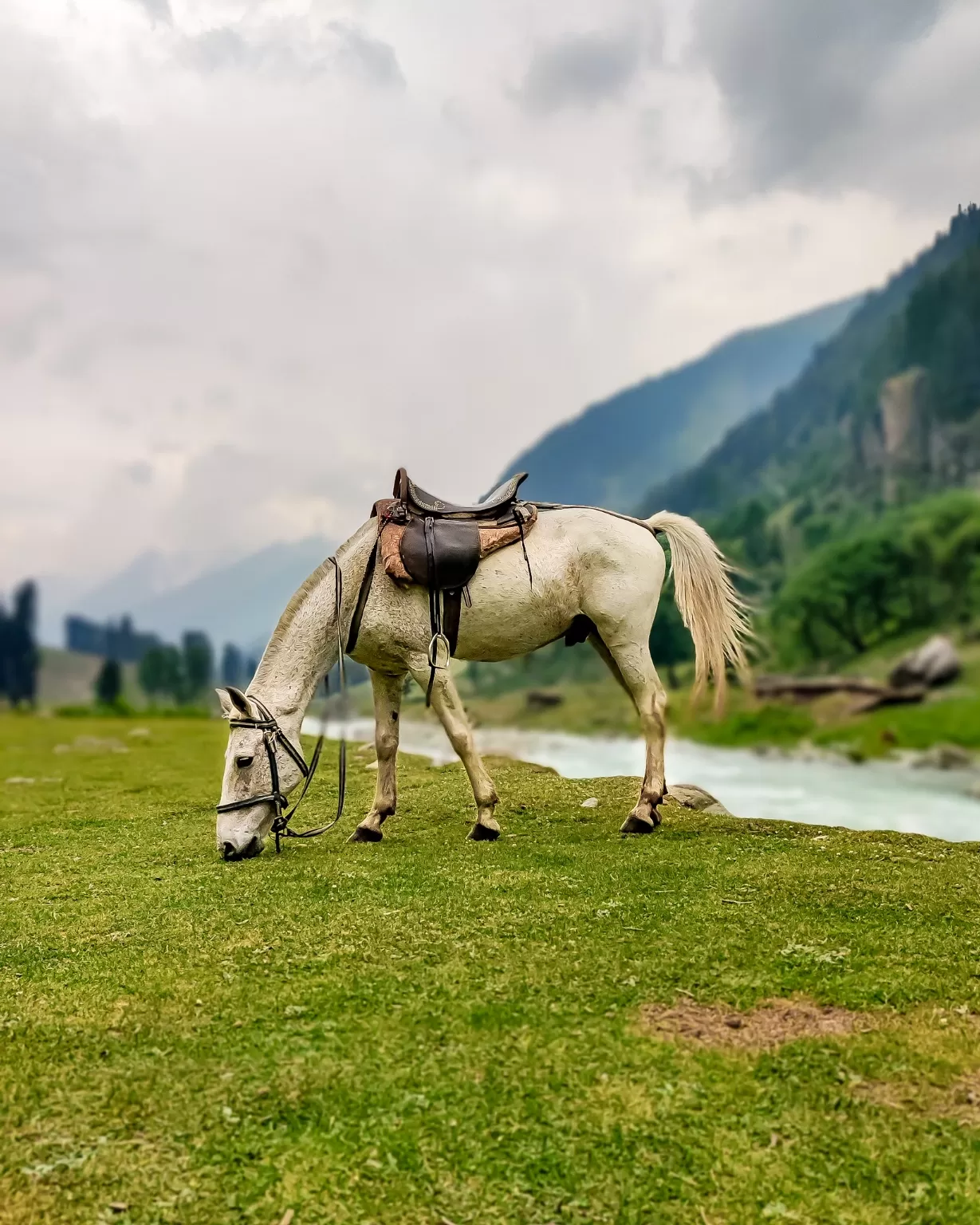 Photo of Lidderwat By Muneeb wani 