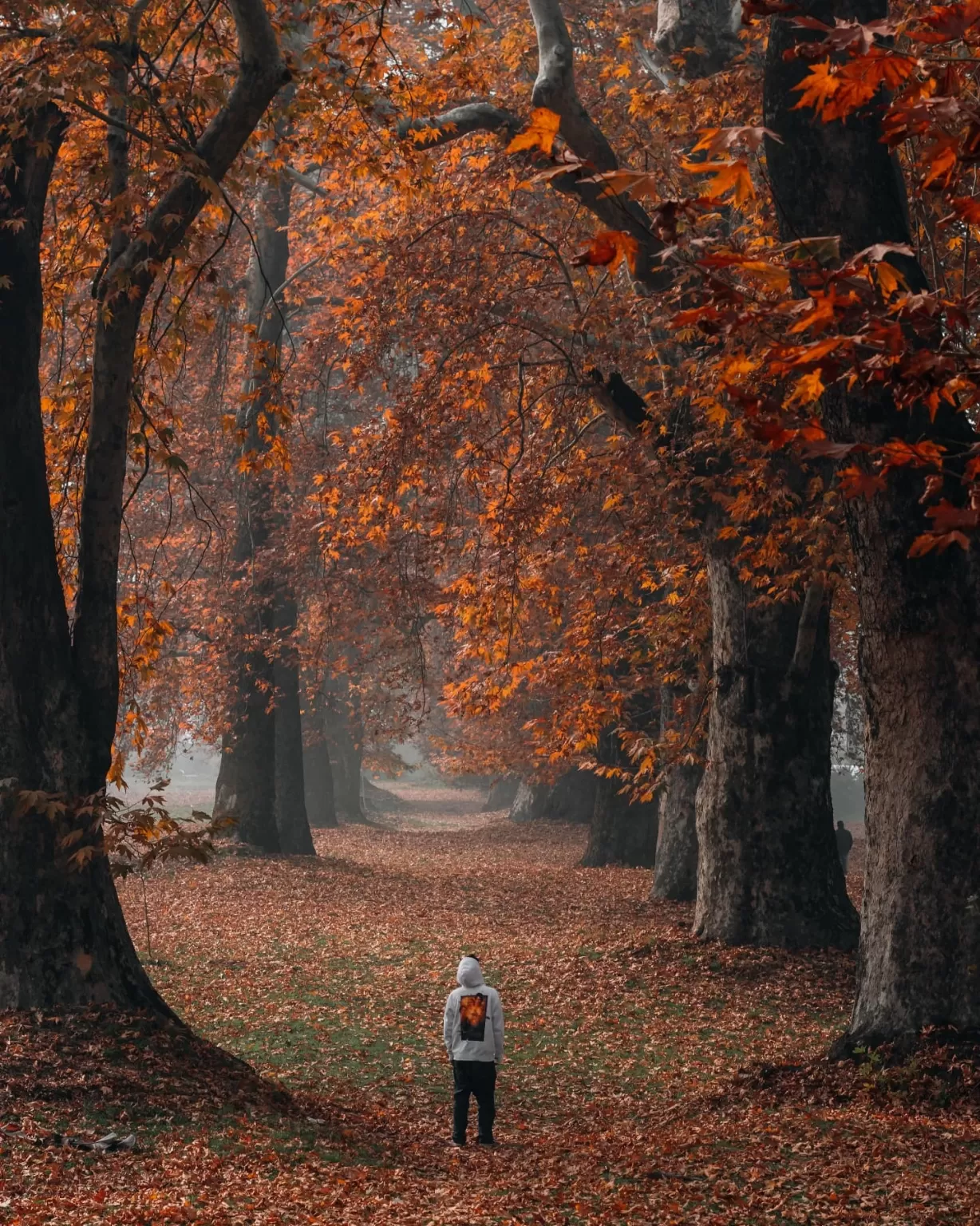 Photo of Nishat Bagh By Muneeb wani 