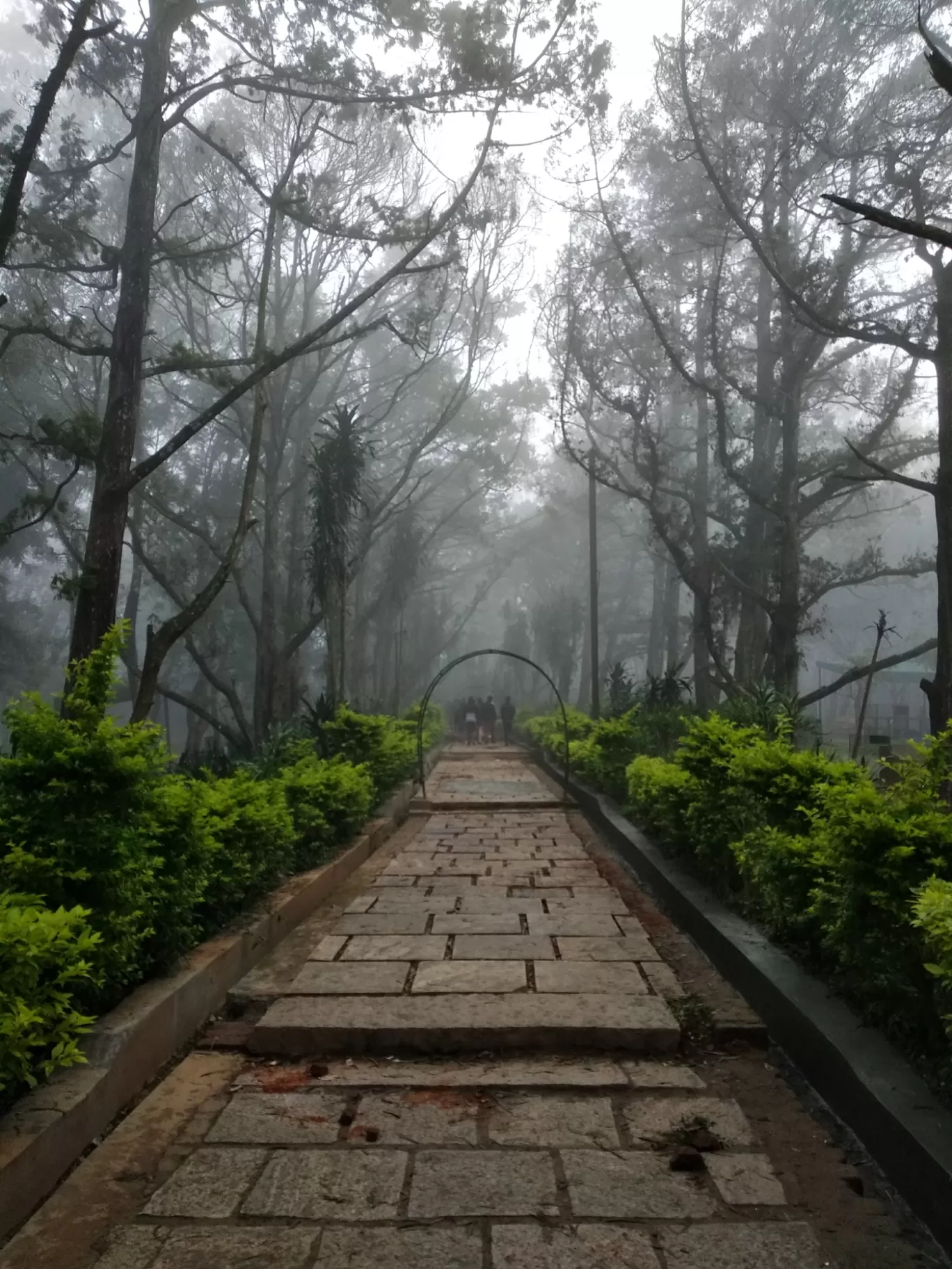 Photo of Nandi Hills By Renuka Gupta