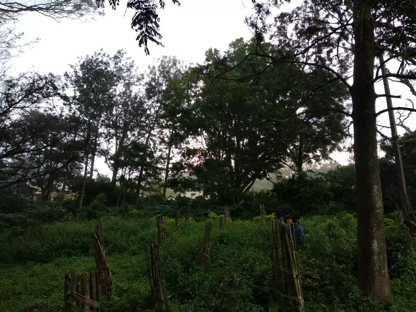 Photo of Nandi Hills By Renuka Gupta