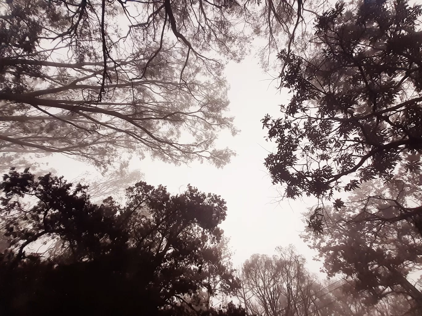 Photo of Nandi Hills By Renuka Gupta