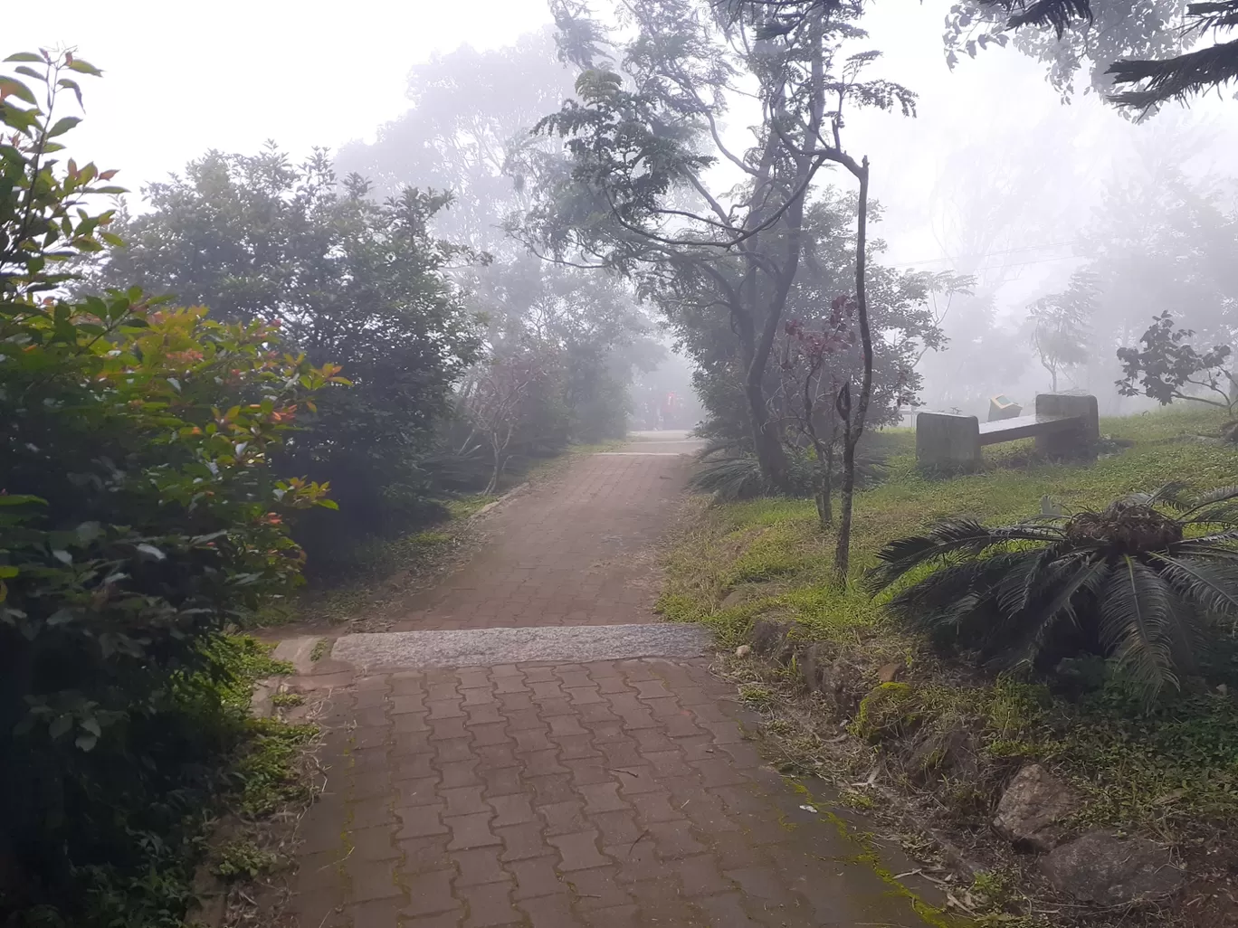 Photo of Nandi Hills By Renuka Gupta