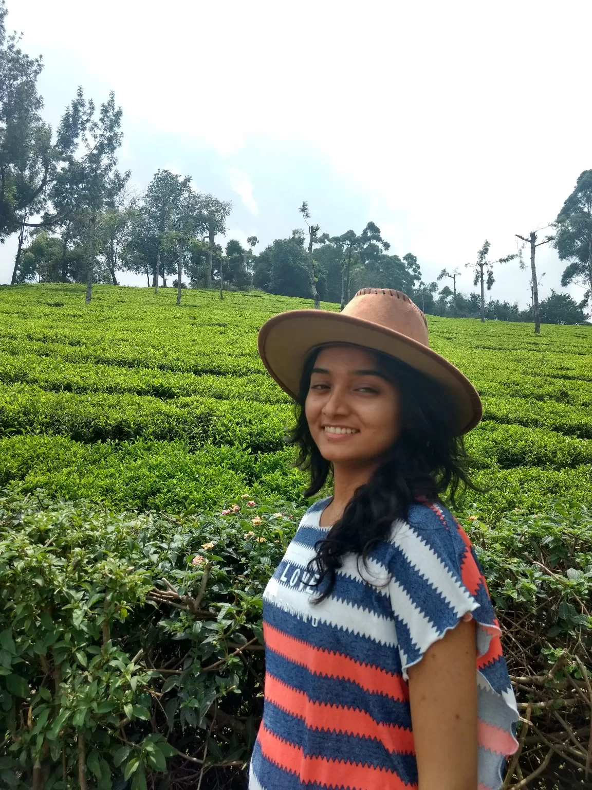 Photo of Munnar By Renuka Gupta