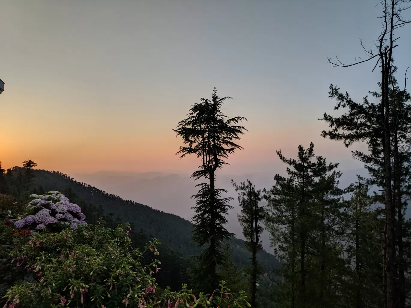 Photo of Club Mahindra Naldera Pristine Peaks By Dr. Paranjay Kumar Sahoo