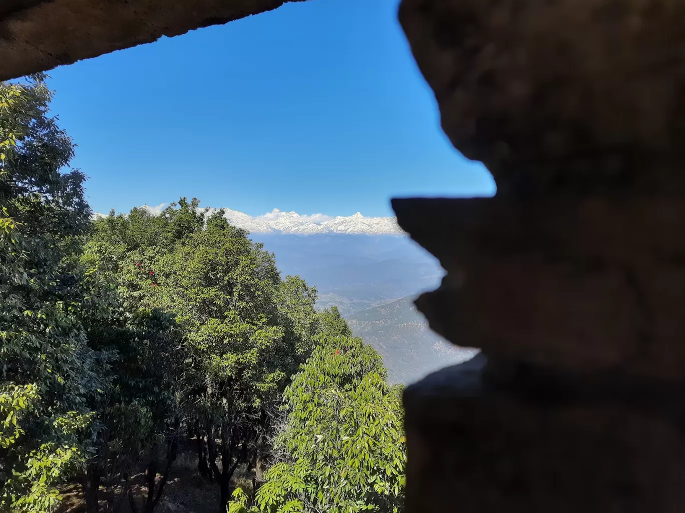 Photo of Binsar Wildlife Sanctuary By Dr. Paranjay Kumar Sahoo