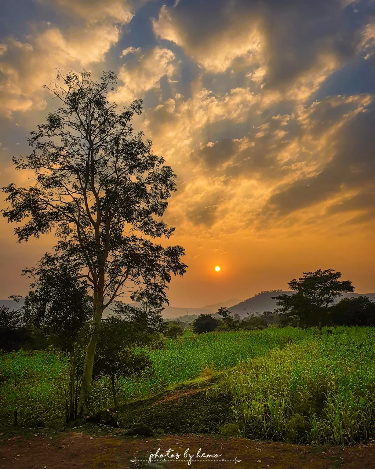 Photo of Kurungvadi By Hemo Gaikwad