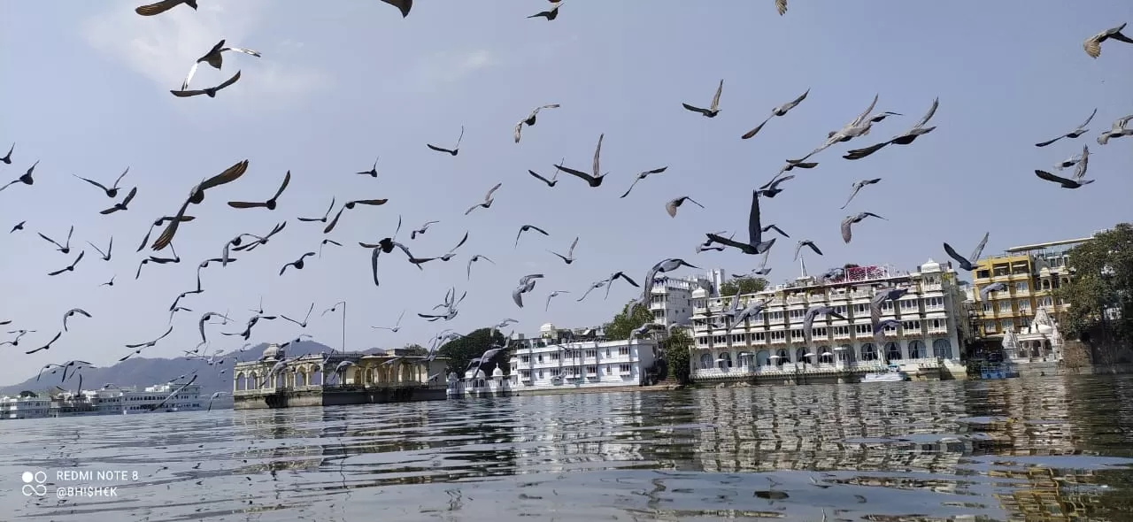 Photo of Lake Pichola By Vipin Garg