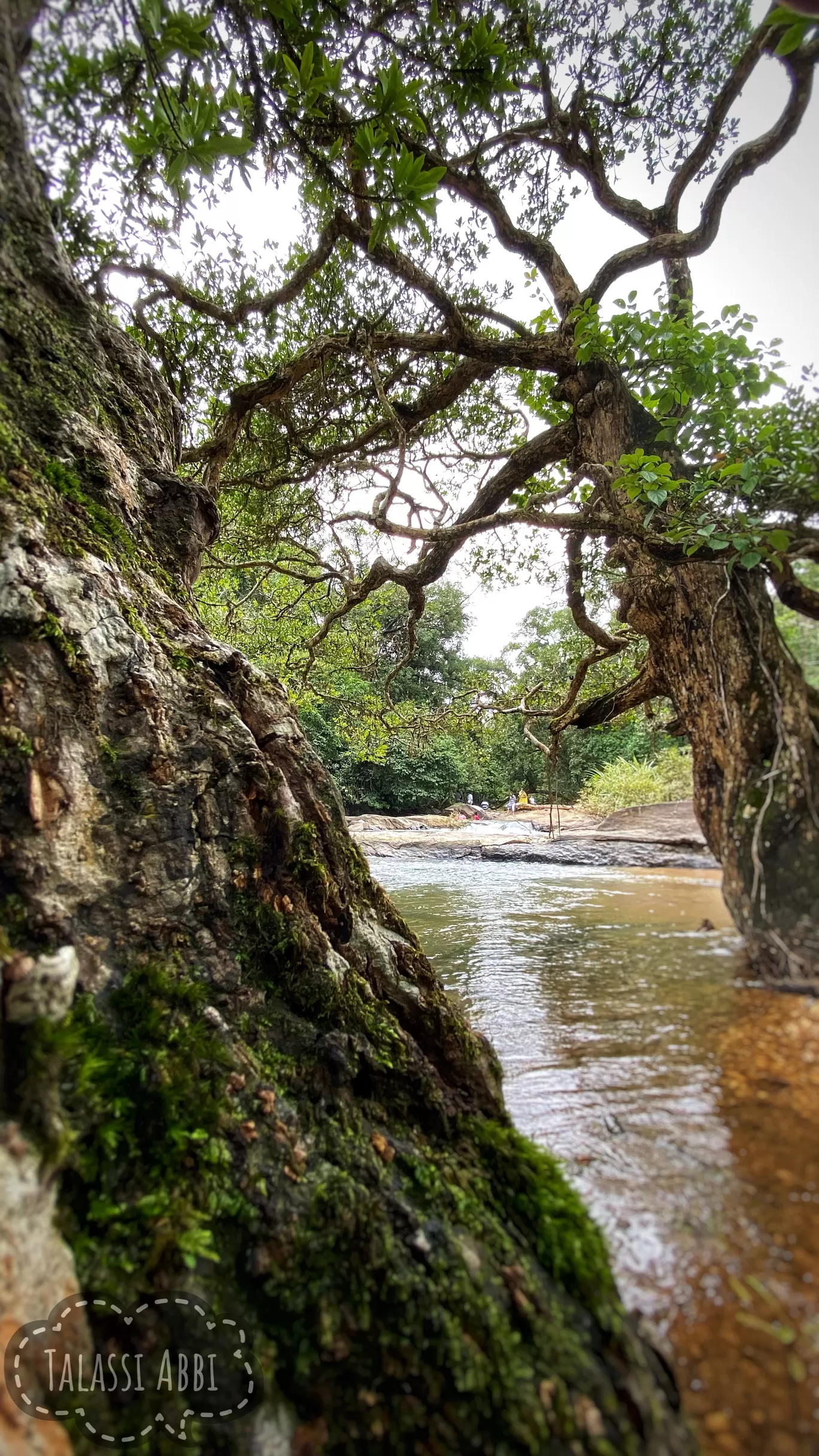 Photo of Thirthahalli By Ashwin K