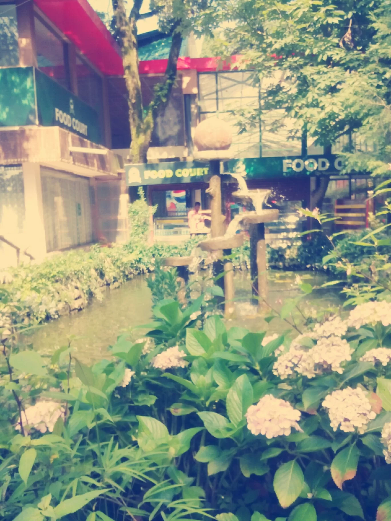Photo of Mussoorie By pragya