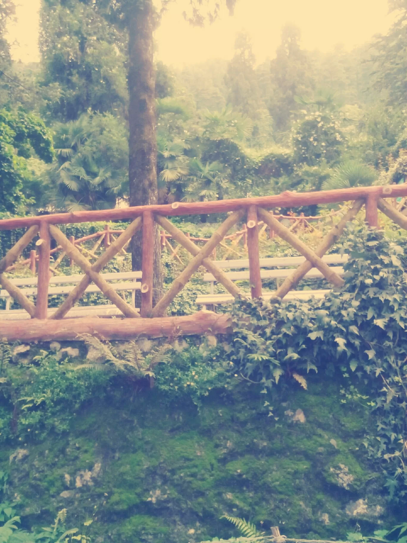 Photo of Mussoorie By pragya
