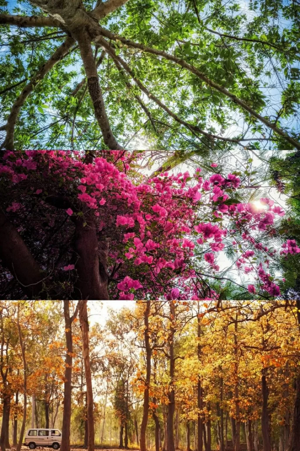Photo of Santiniketan By Akash Sen