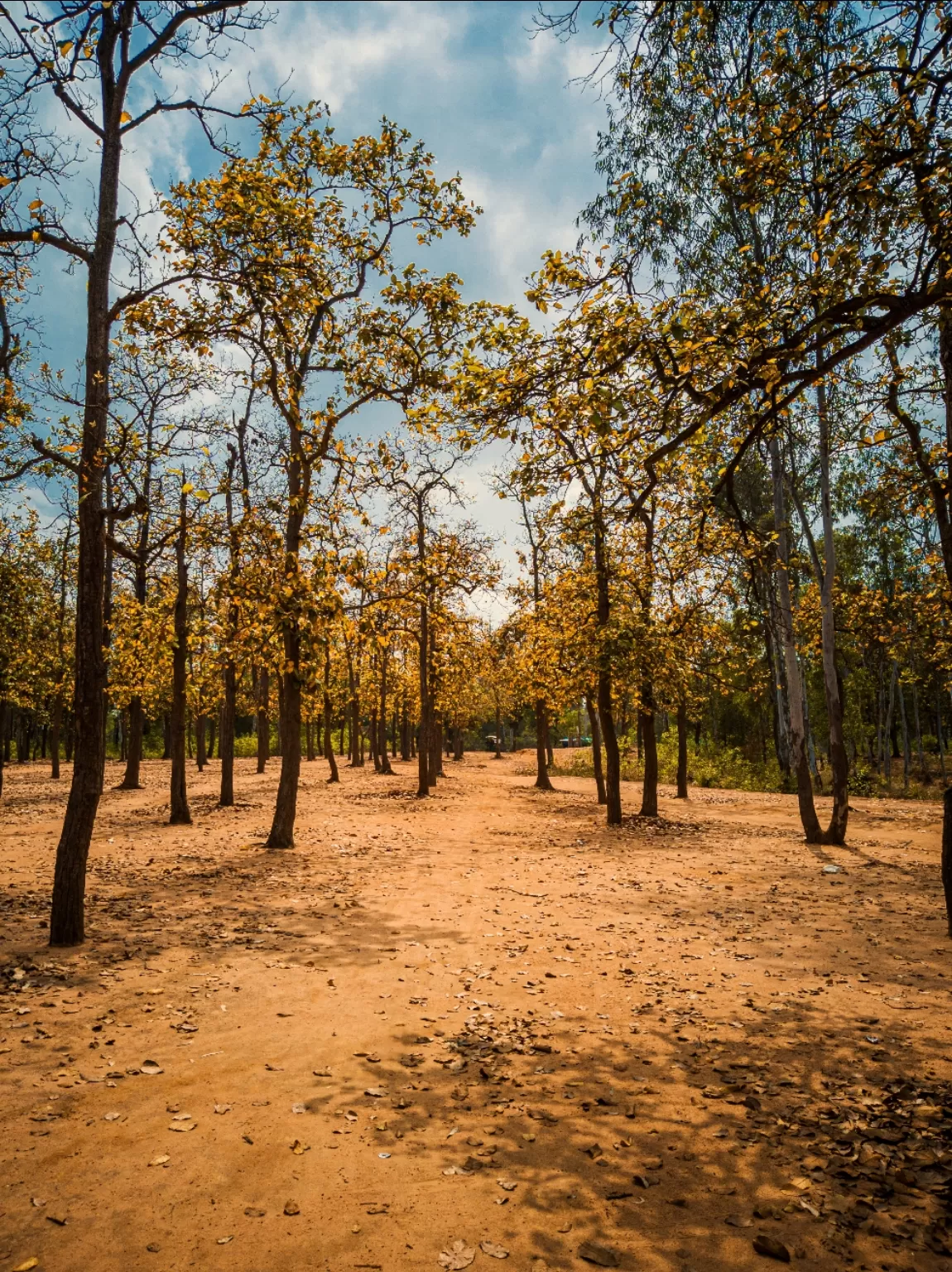 Photo of Santiniketan By Akash Sen