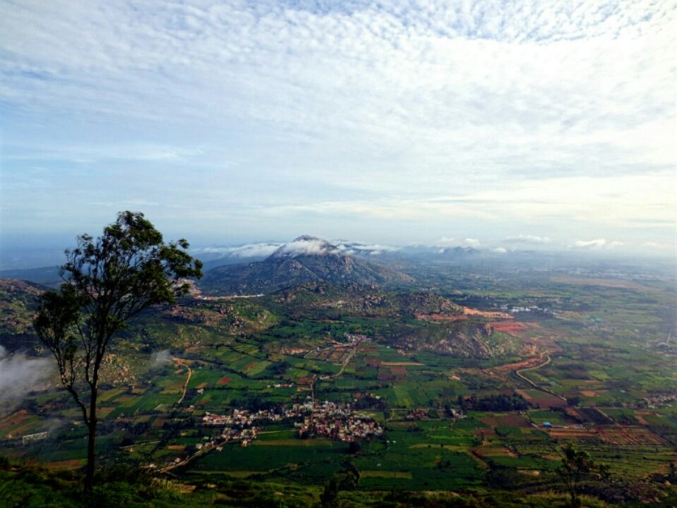 Photo of Early morning Nandi By Shashikanth Akkineni