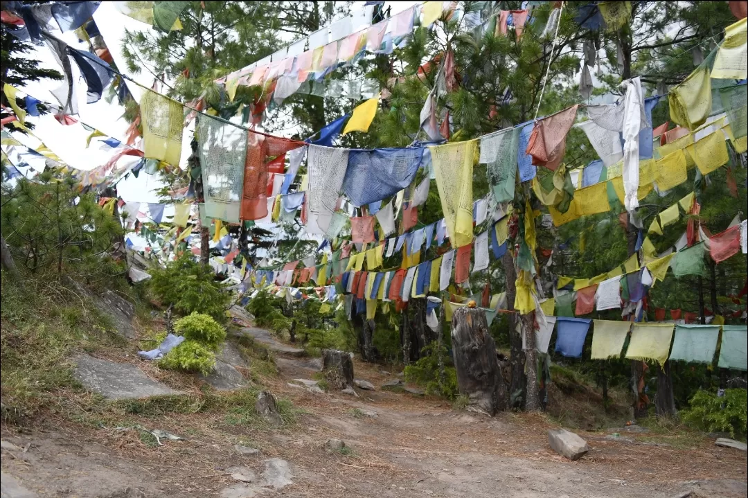 Photo of Gangotri By Jeet Bisht