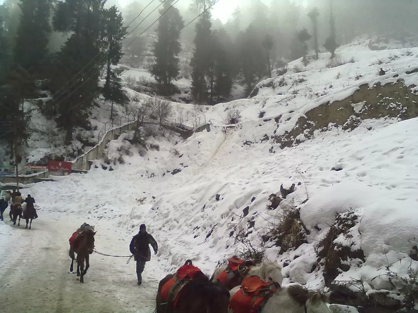 Photo of Shimla By Luck Chhabra