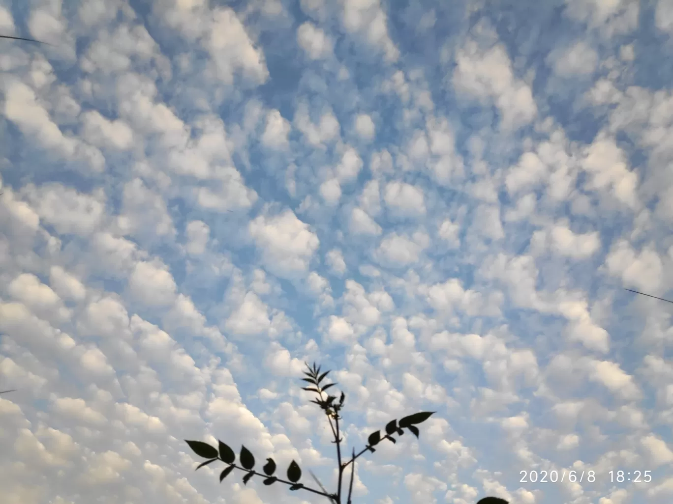 Photo of Kollam By Navin J