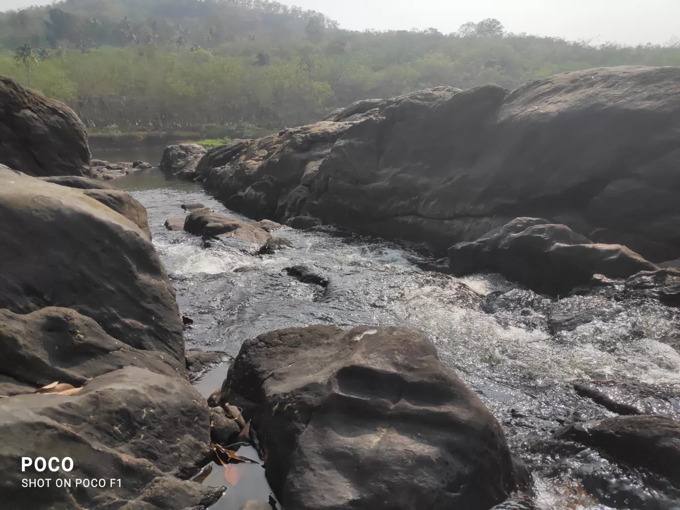 Photo of Vattathil Waterfall Kalladathanni By Navin J