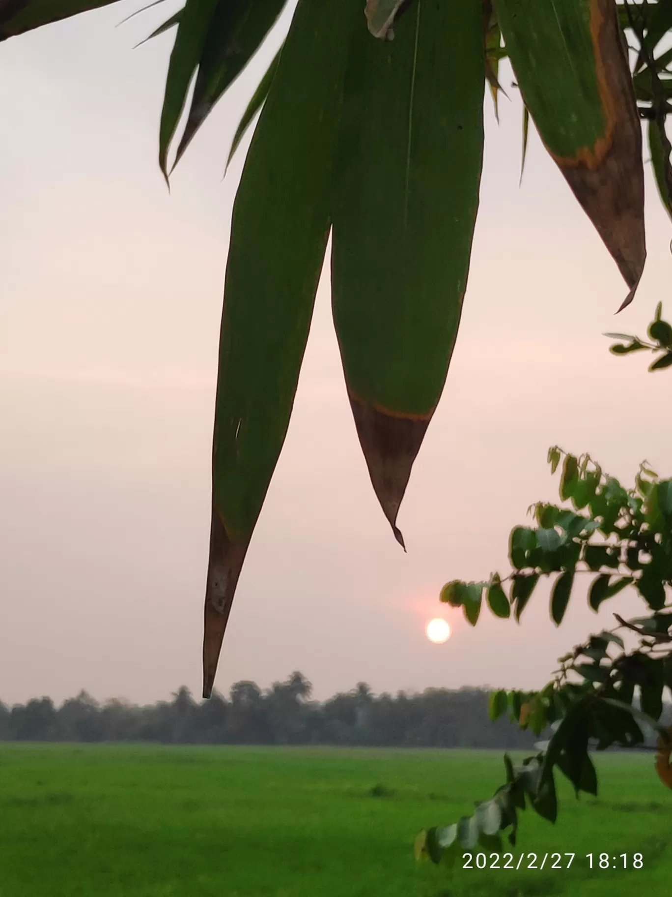 Photo of Kumarakom By Navin J