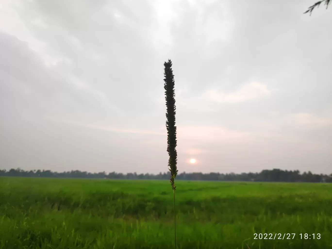 Photo of Kumarakom By Navin J