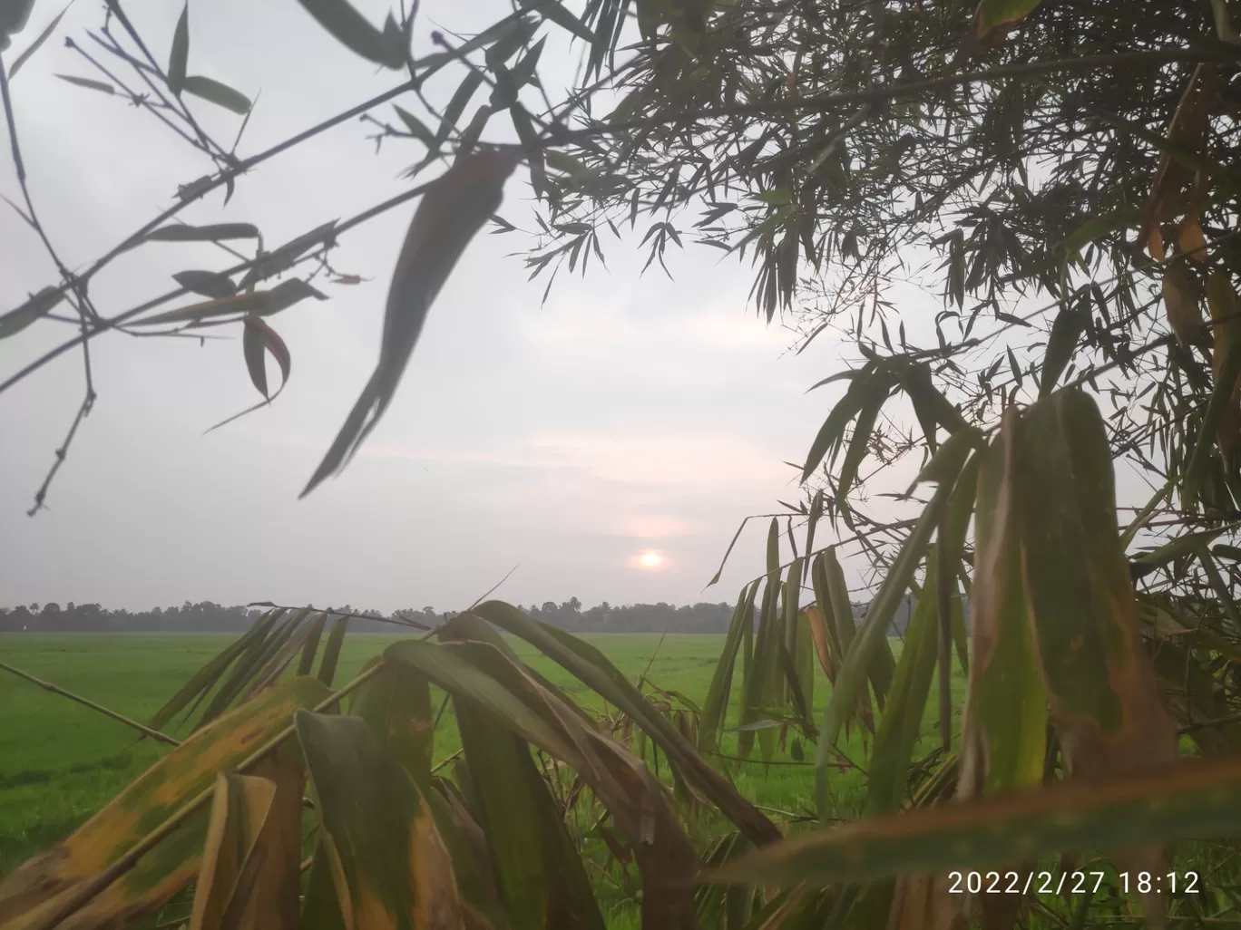 Photo of Kumarakom By Navin J