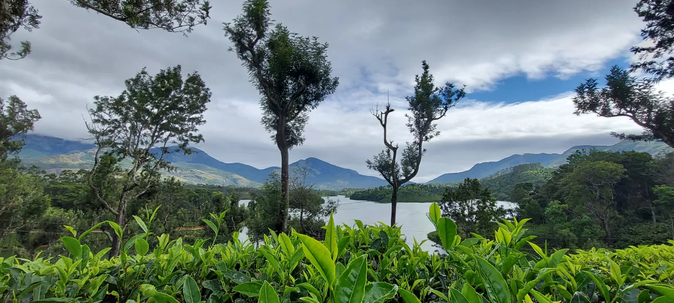 Photo of Munnar By Amoga Vigram P