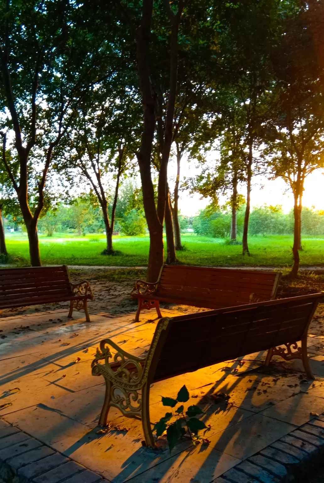 Photo of Janeshwar Mishra Park By Pratibha Singh