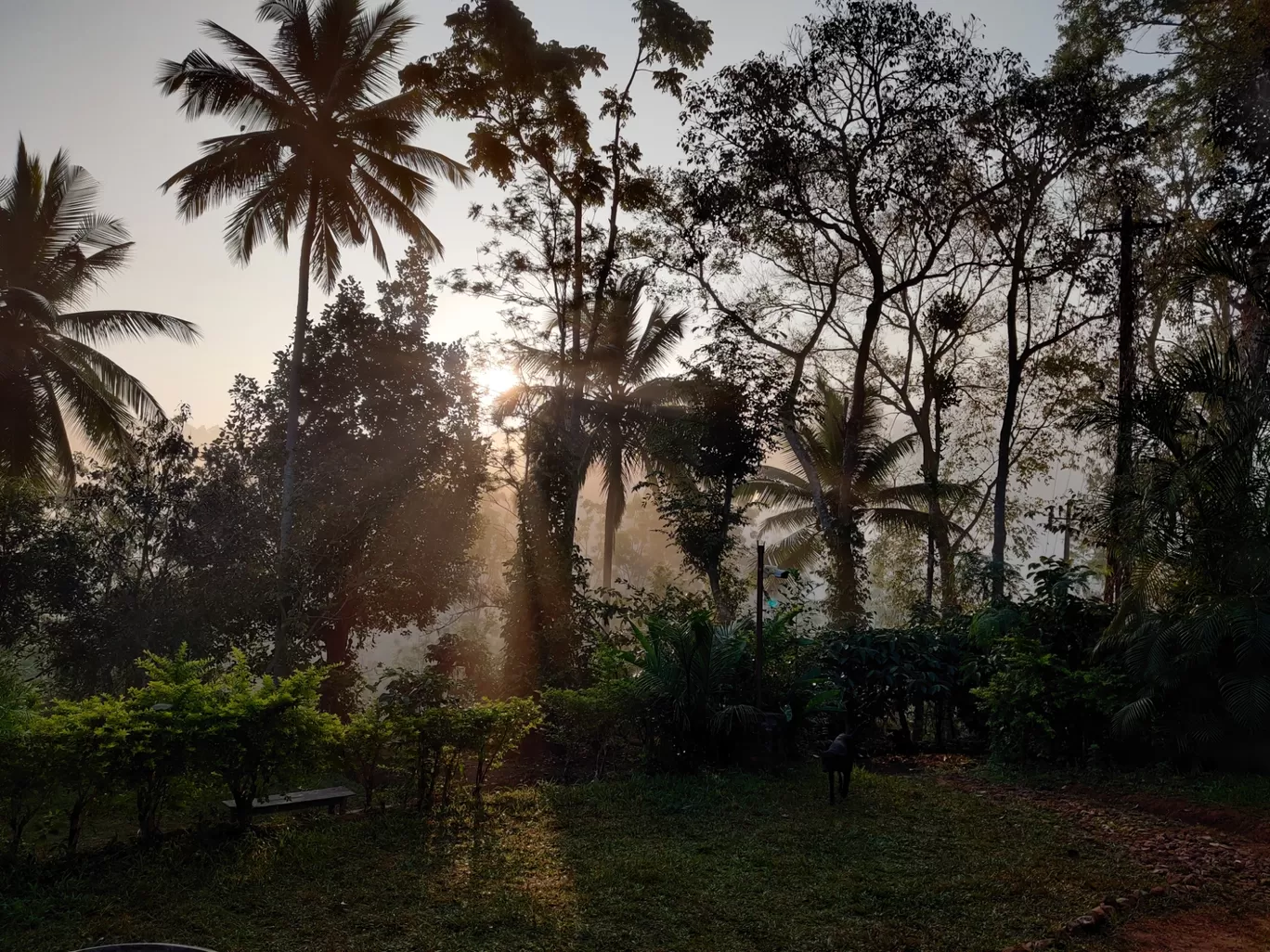 Photo of Coorg By Shreya Chatterjee