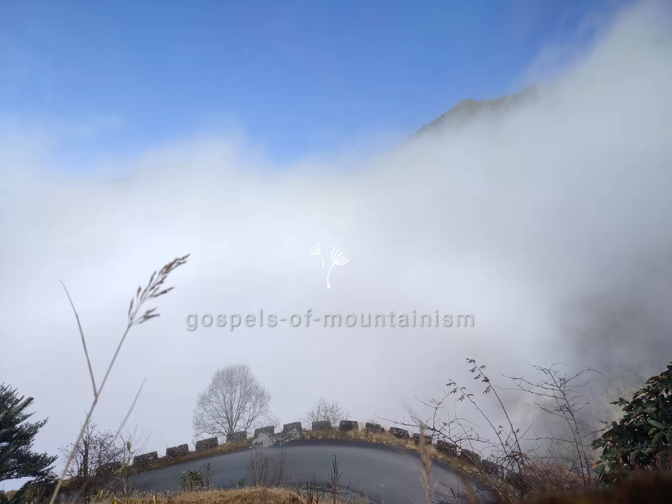 Photo of Zuluk By gospels-of-mountainism