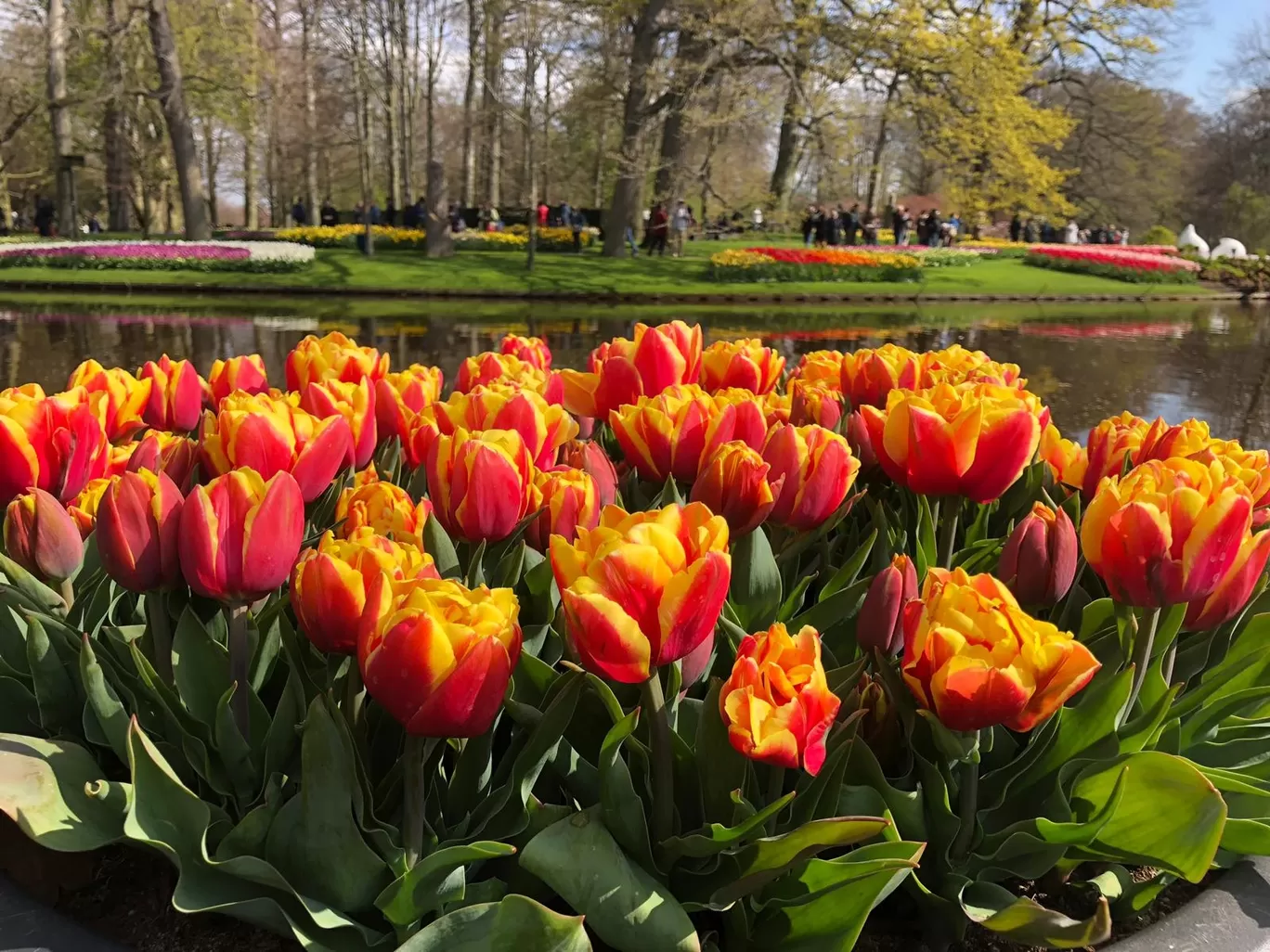 Photo of Amsterdam By gospels-of-mountainism