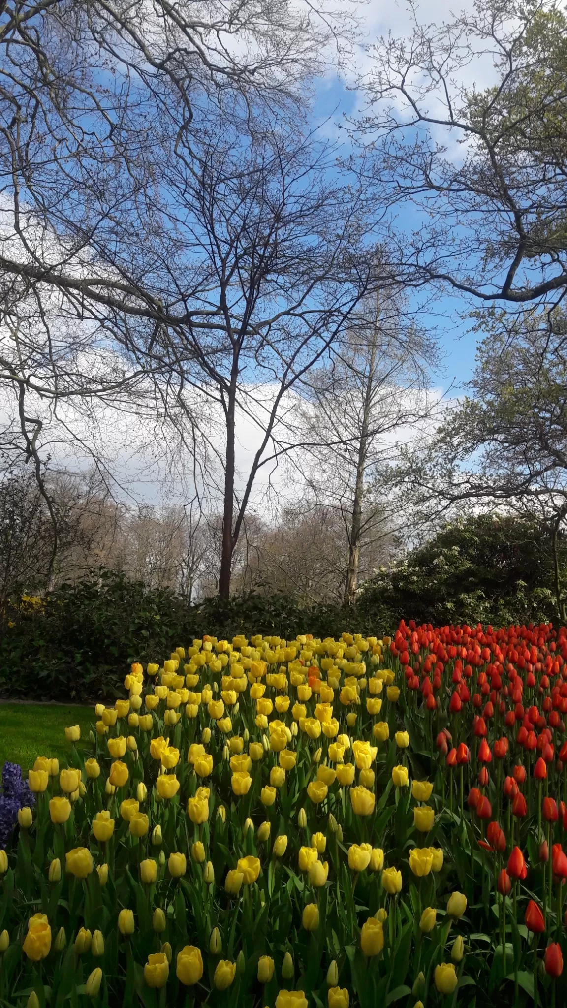 Photo of Amsterdam By gospels-of-mountainism