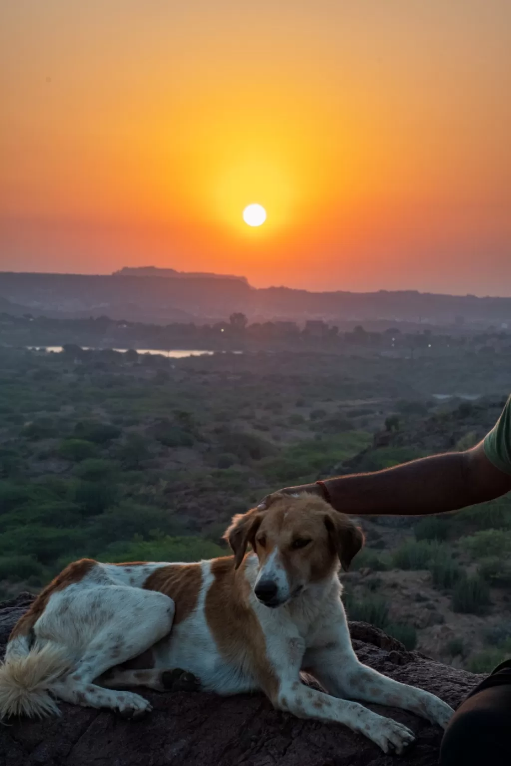 Photo of Jodhpur By Sumit Pal