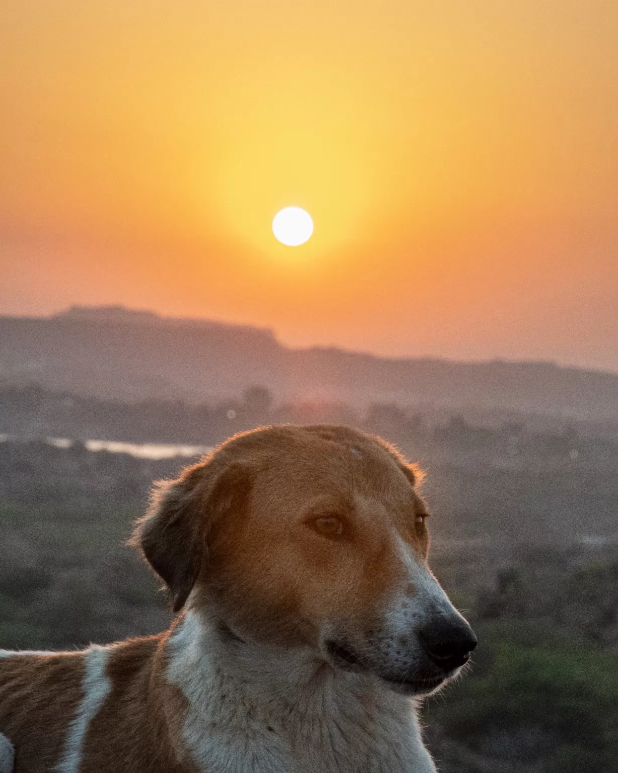 Photo of Jodhpur By Sumit Pal