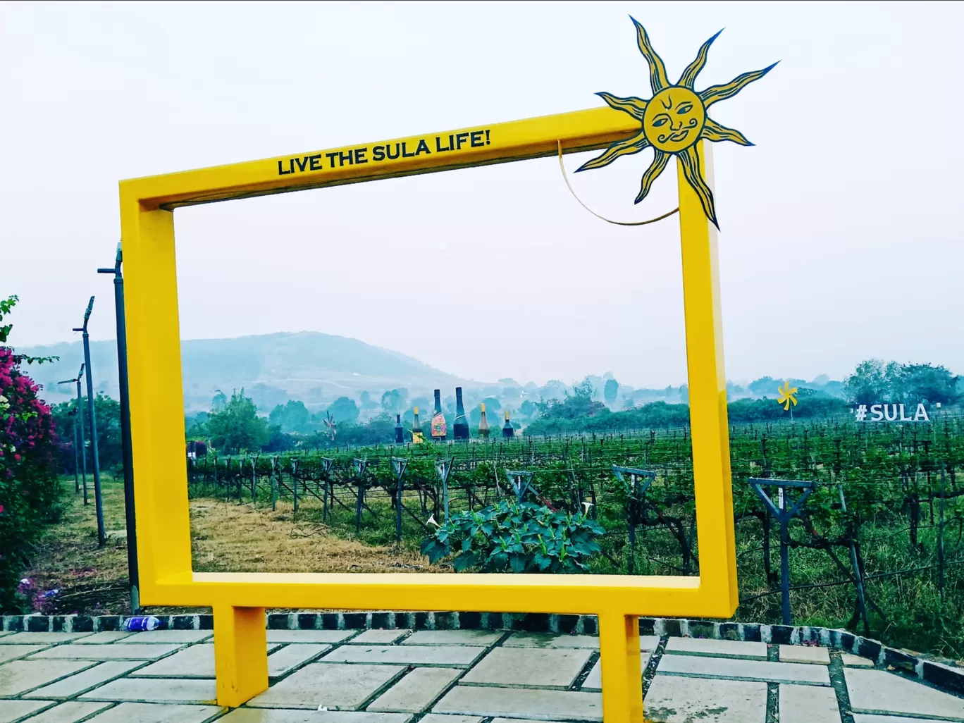 Photo of Sula Vineyards By chandugaikwad376@gmail.com