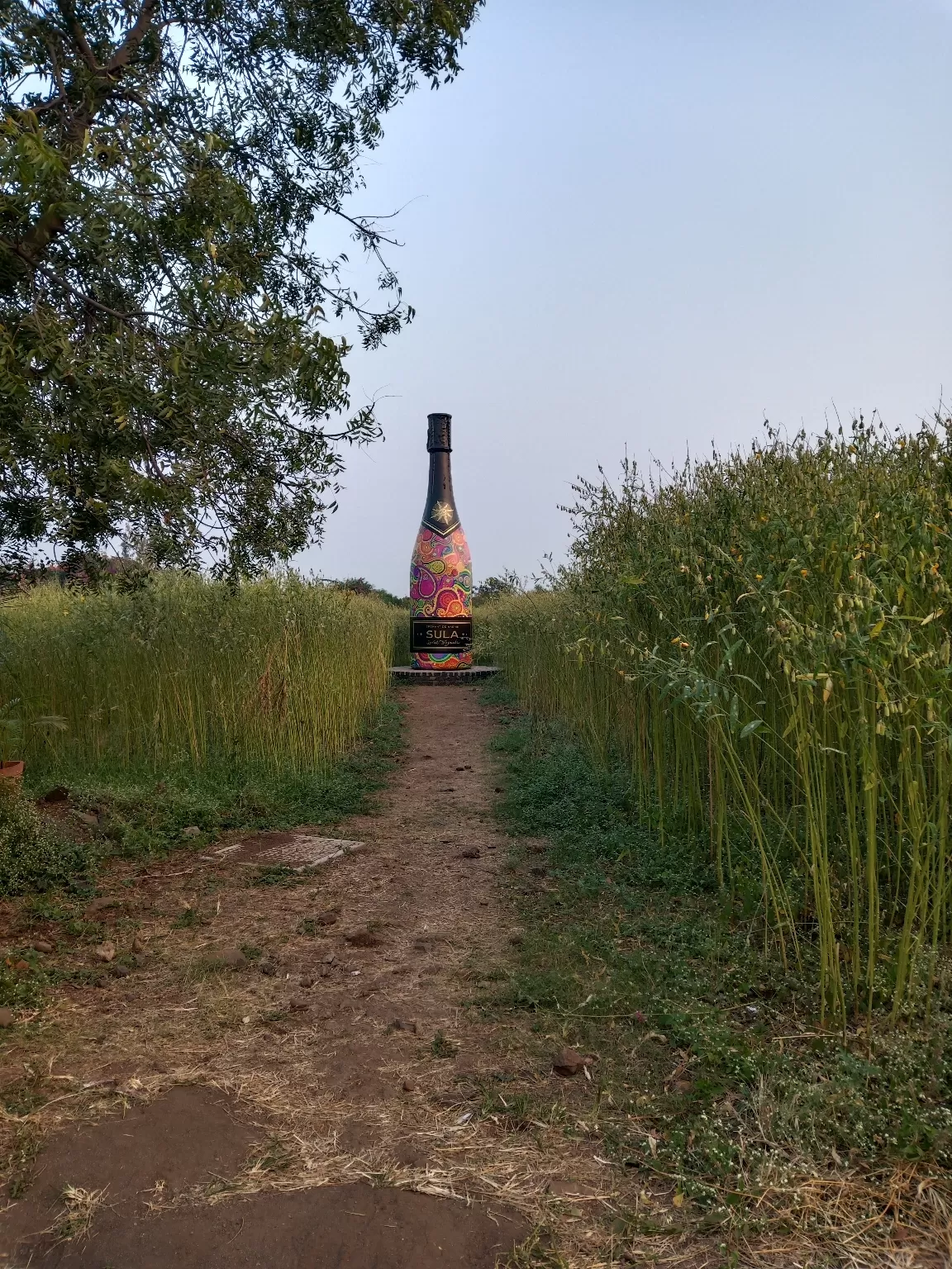 Photo of Sula Vineyards By chandugaikwad376@gmail.com