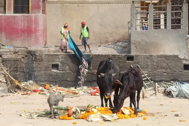 Photo of Manikarnika Ghat By ANKIT KUMAR