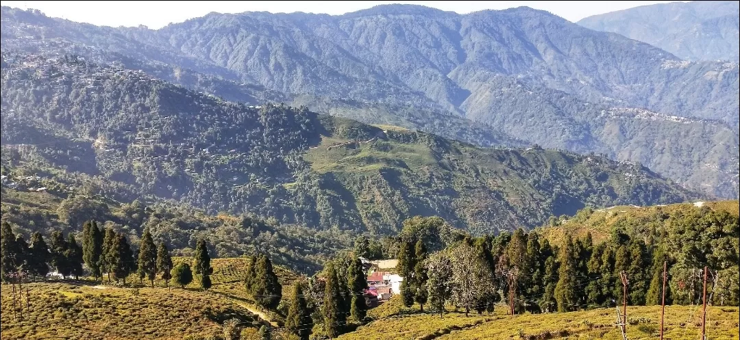 Photo of Darjeeling By ANKIT KUMAR