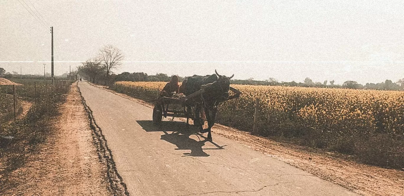 Photo of Abohar By Amarjeet Kaur