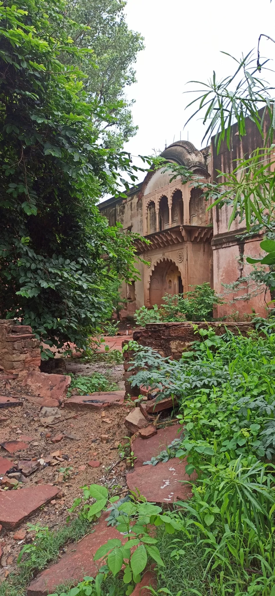 Photo of Bharatpur By Vikas Mishra