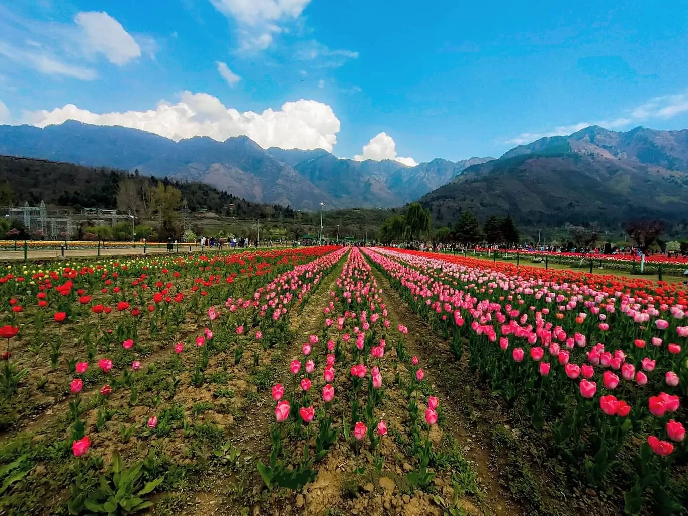 Photo of Jammu and Kashmir By alifromkashmir