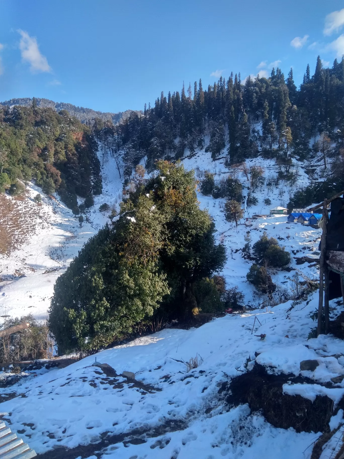 Photo of Chopta By Rajesh Pal