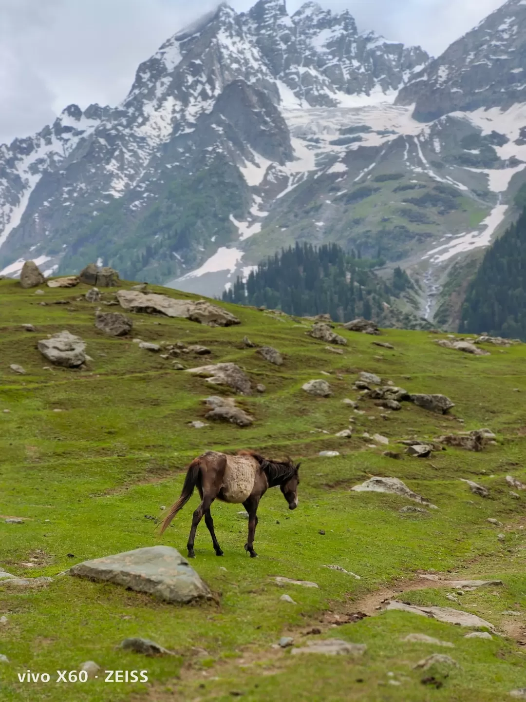 Photo of Jammu and Kashmir By Rayan Hussain