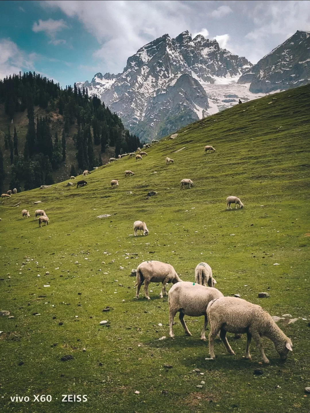 Photo of Sonamarg By Rayan Hussain
