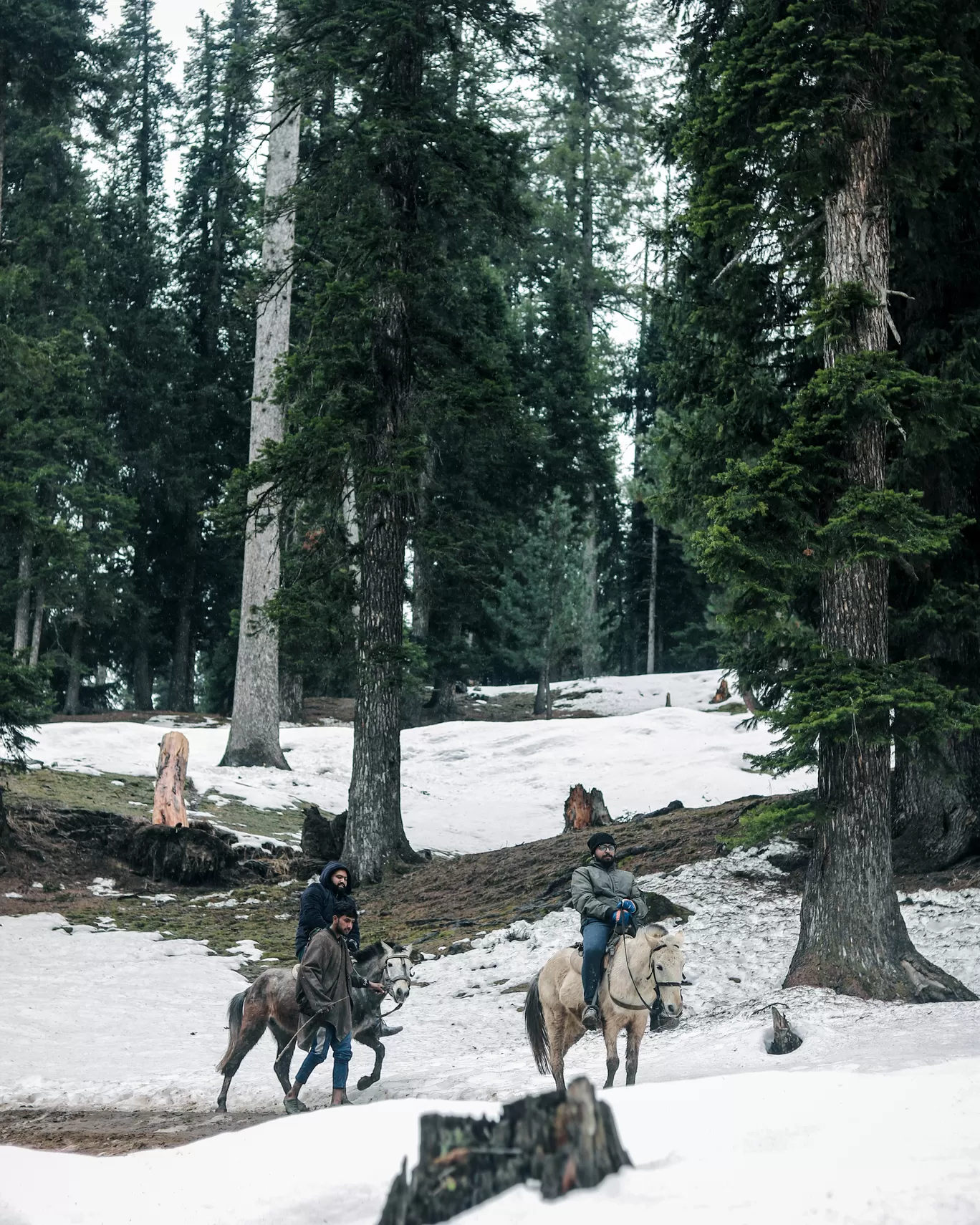 Photo of Pahalgam By Marwan Kotta Vellatt