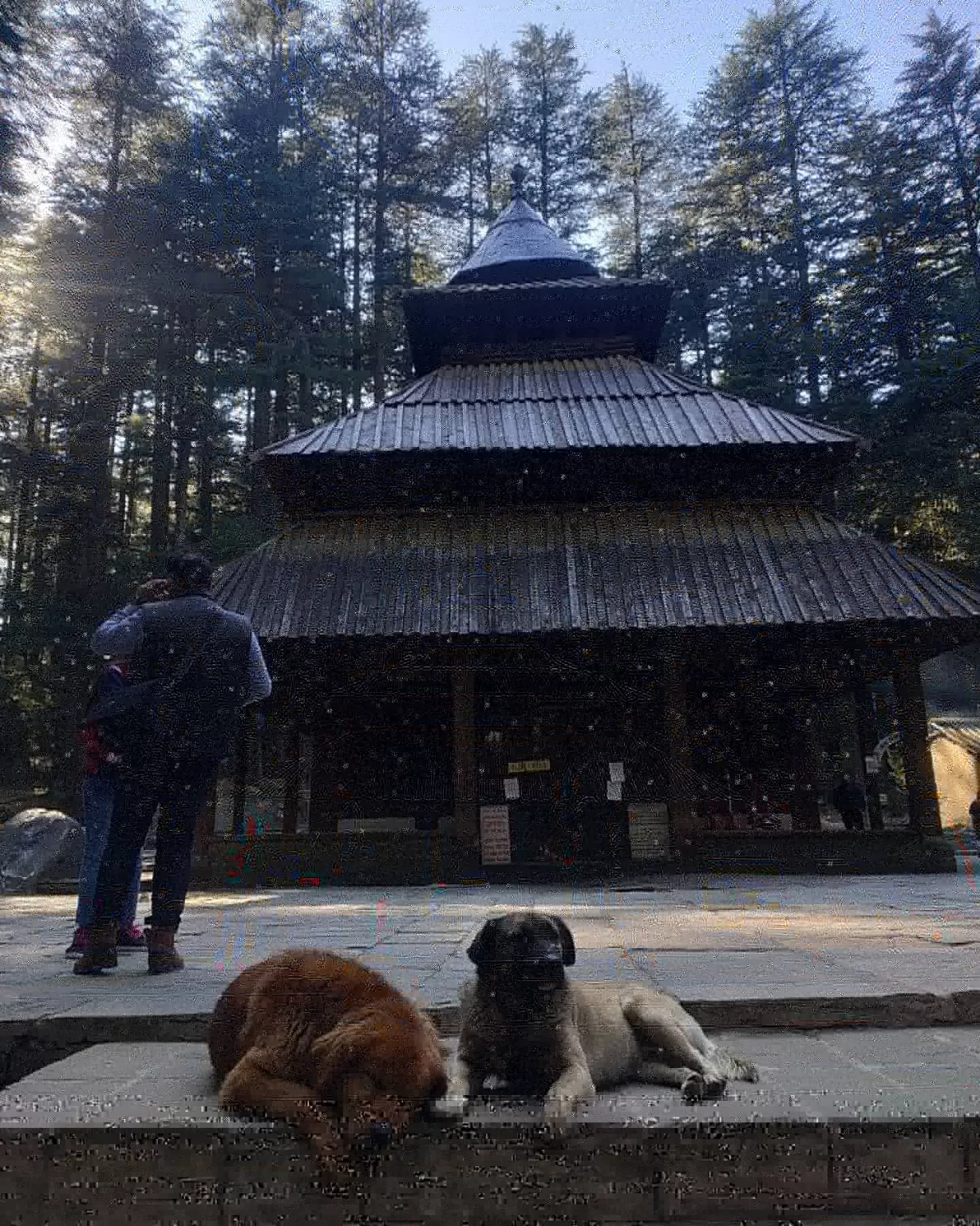 Photo of Manali By Pratima Jogna